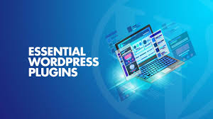 How to Choose the Right WordPress Plugins?