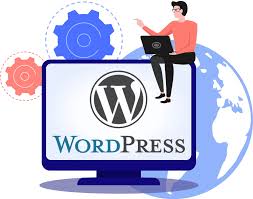 what companies look for in a WordPress developer